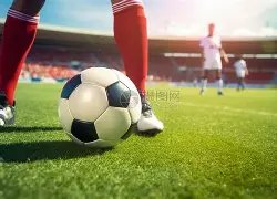 波黑球迷呼,吁媒体停止,称呼国家队,欧亿体育官网,APP下载,注册领彩金,官方网站,网站入口