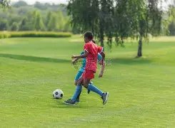 巴黎滑板奥,运积分赛落,中国选手多,欧亿体育官网,APP下载,注册领彩金,官方网站,网站入口